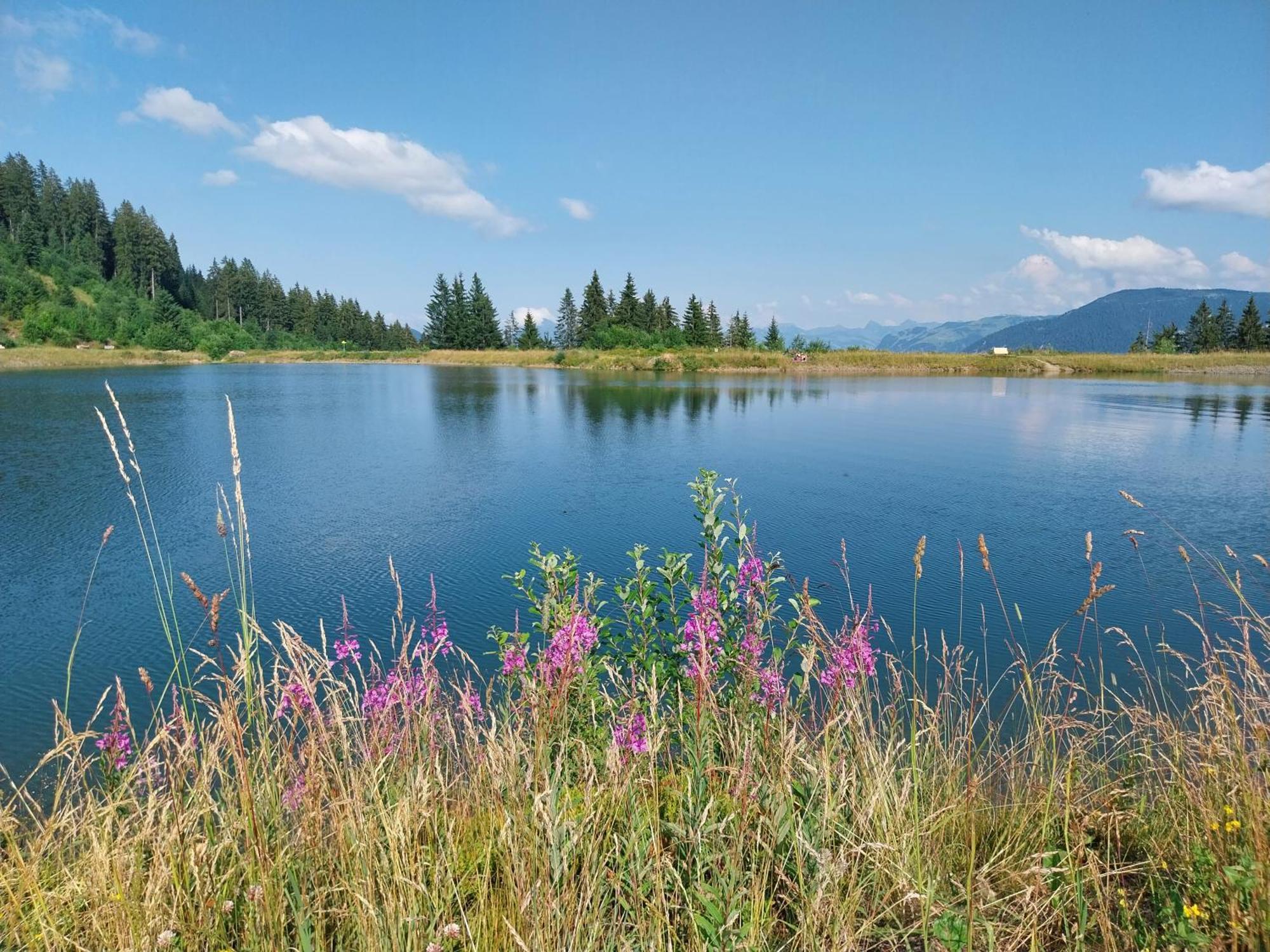 Landhaus Tirol Hopfgarten im Brixental Exteriör bild